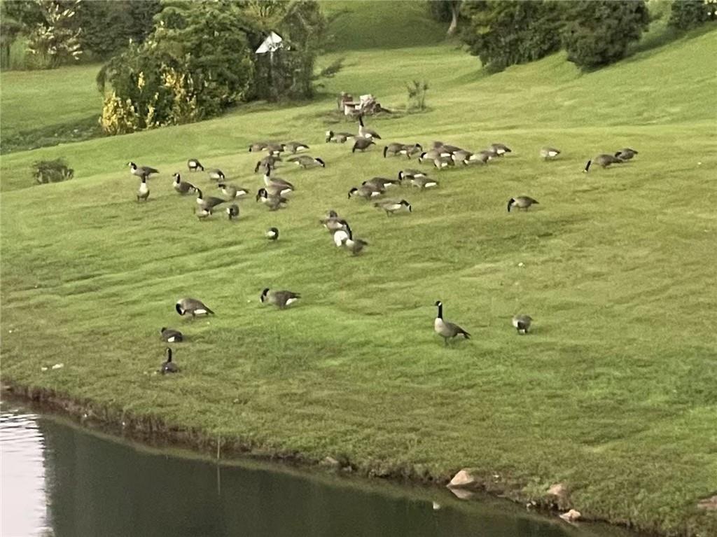 2382 Merrymount Drive Suwanee, GA 30024 - Photo 84 of 93