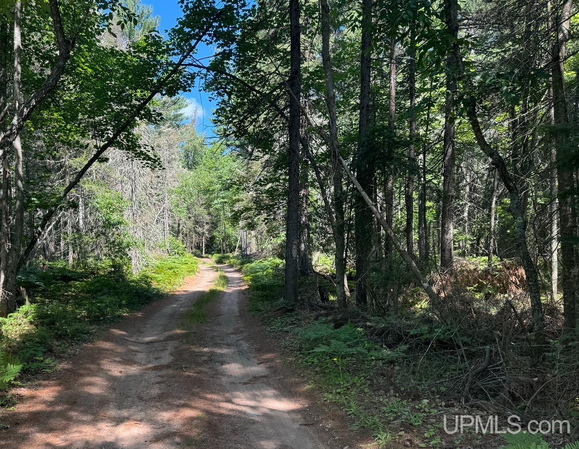 10 Acres Sec34 Road Ishpeming, MI 49849 - Photo 1 of 6