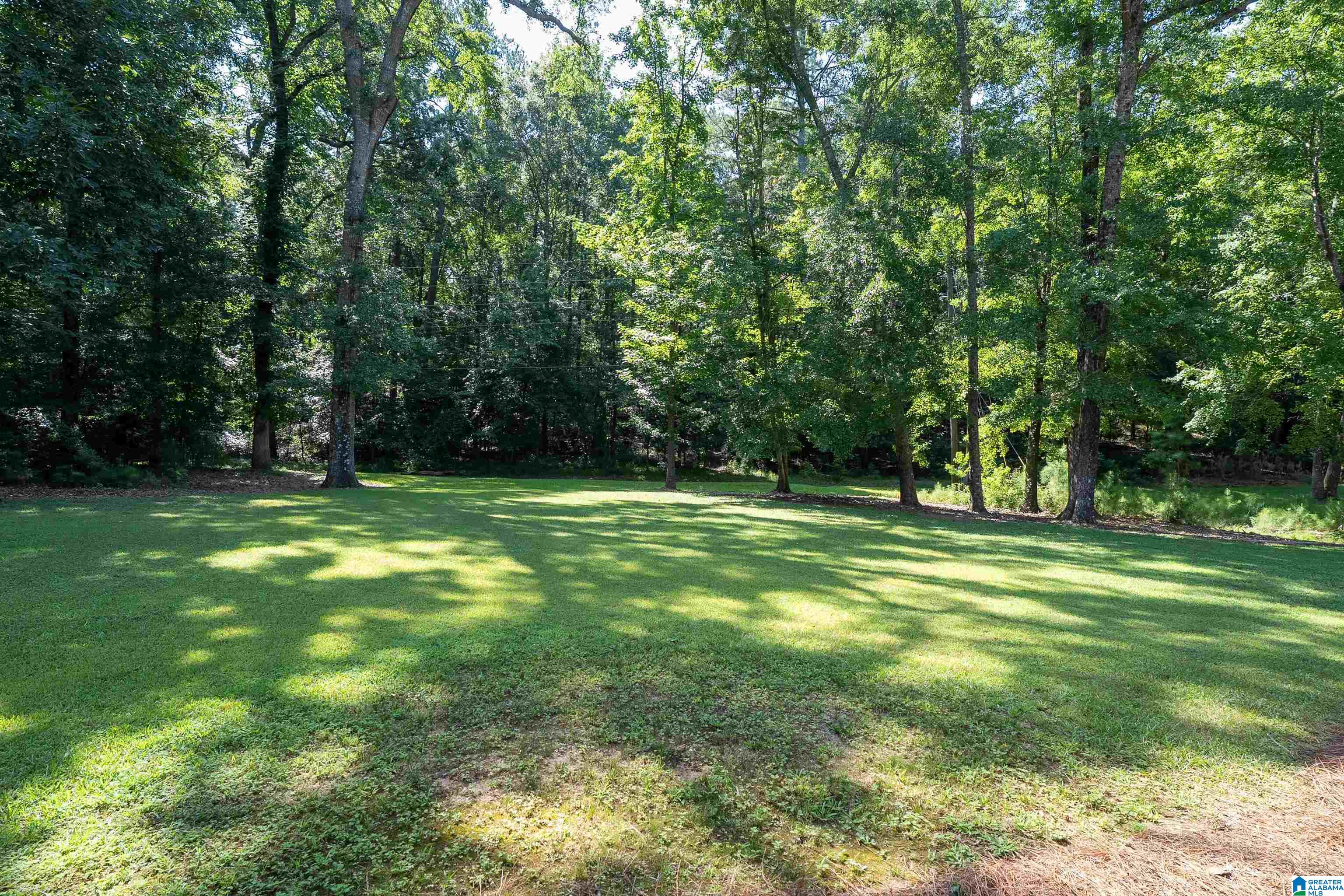 5125 Meadow Brook Road Birmingham, AL 35242 - Photo 4 of 53