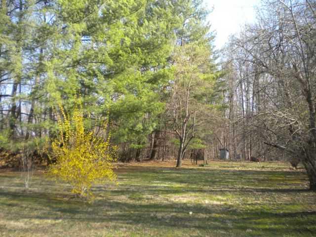 2988 Pumpkin Ridge Road Cloverdale, IN 46120 - Photo 10 of 11 Gallery Image 10