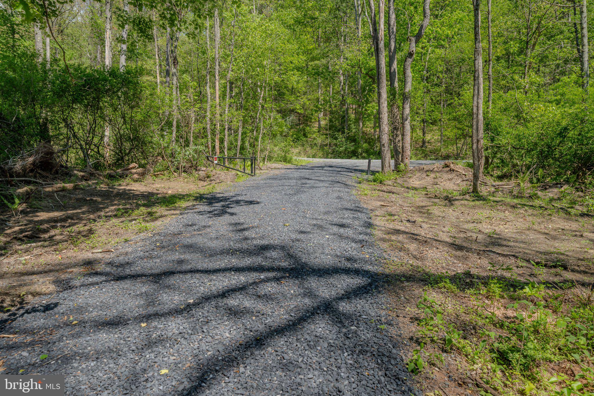 1520 Lingle Valley Road Milroy, PA 17063 - Photo 69 of 144 Serene path through lush greenery.