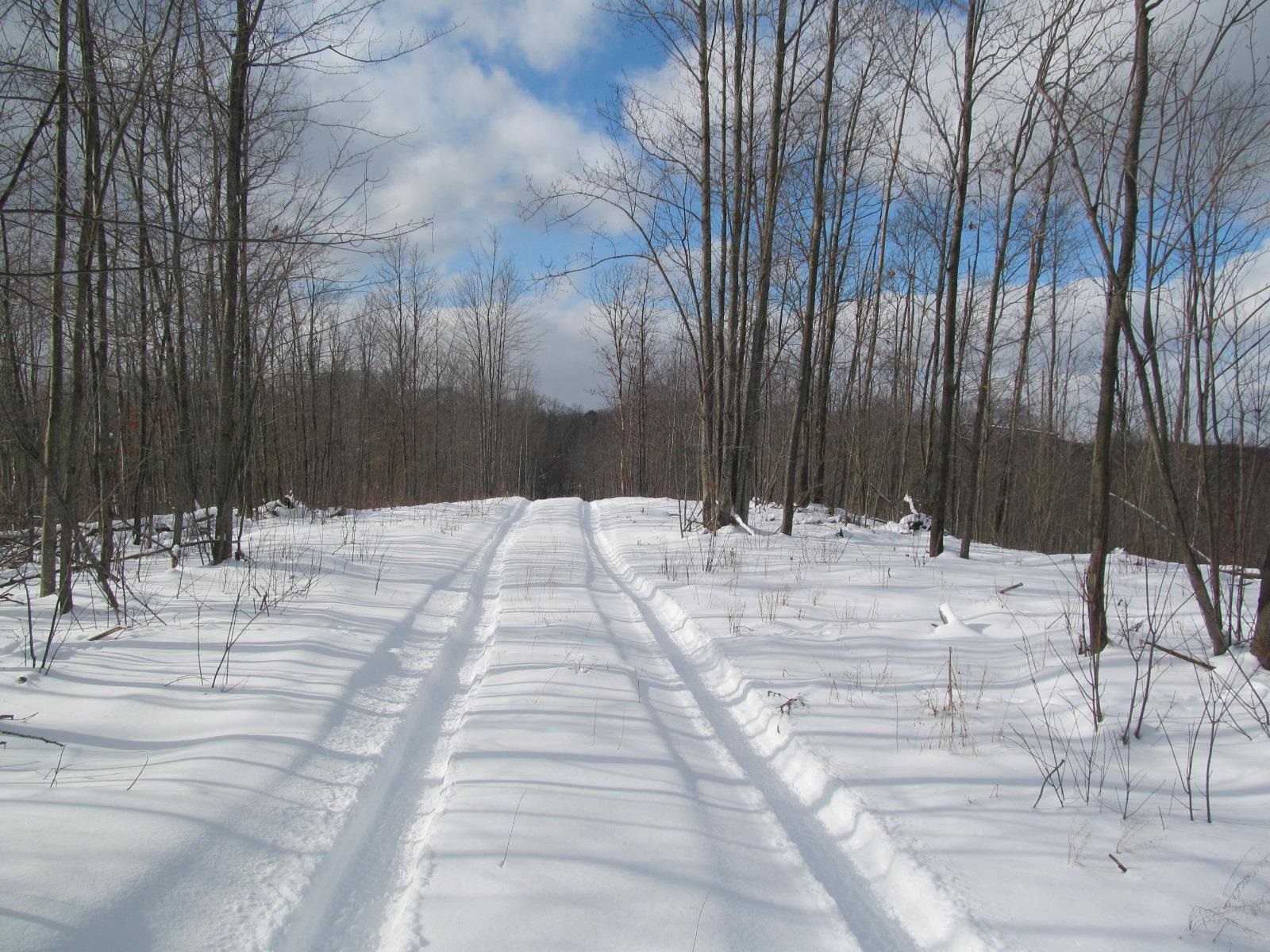 47 South 47 3/4 Road Cadillac, MI 49601 - Photo 27 of 32