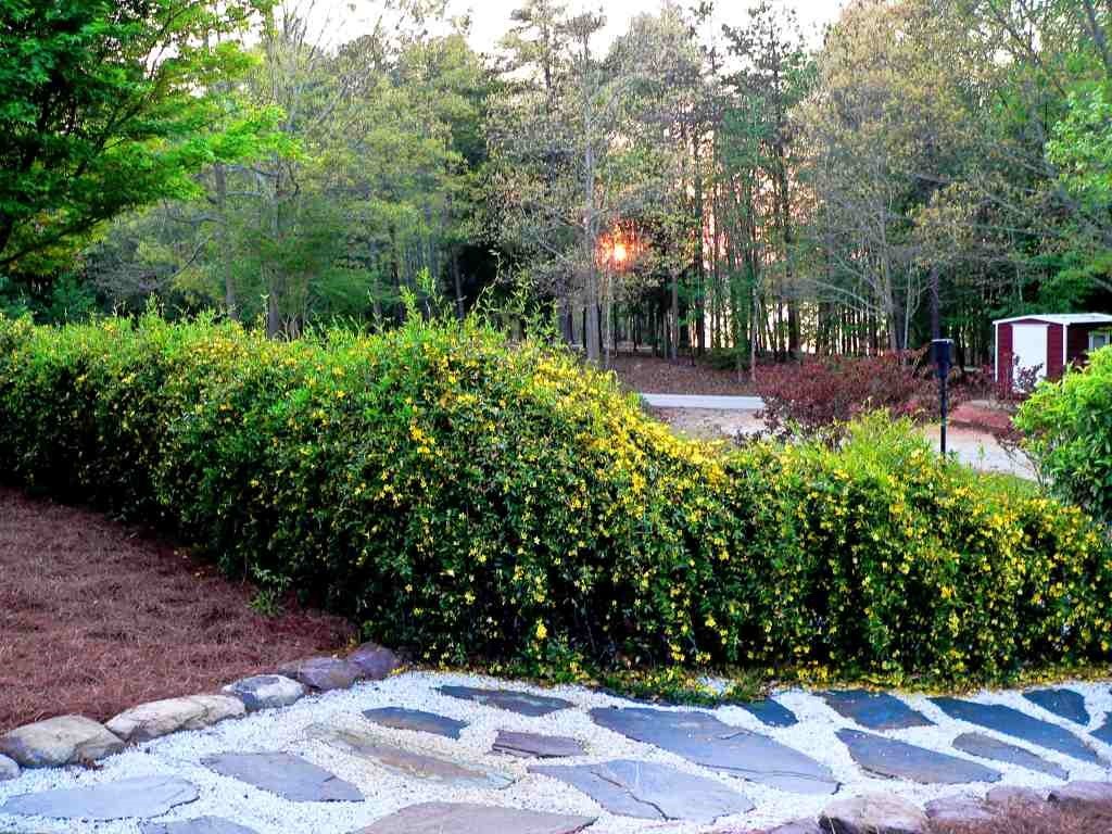 1297 Carter's Ferry Road Hartwell, GA 30643 - Photo 32 of 43 Gallery Image 32
