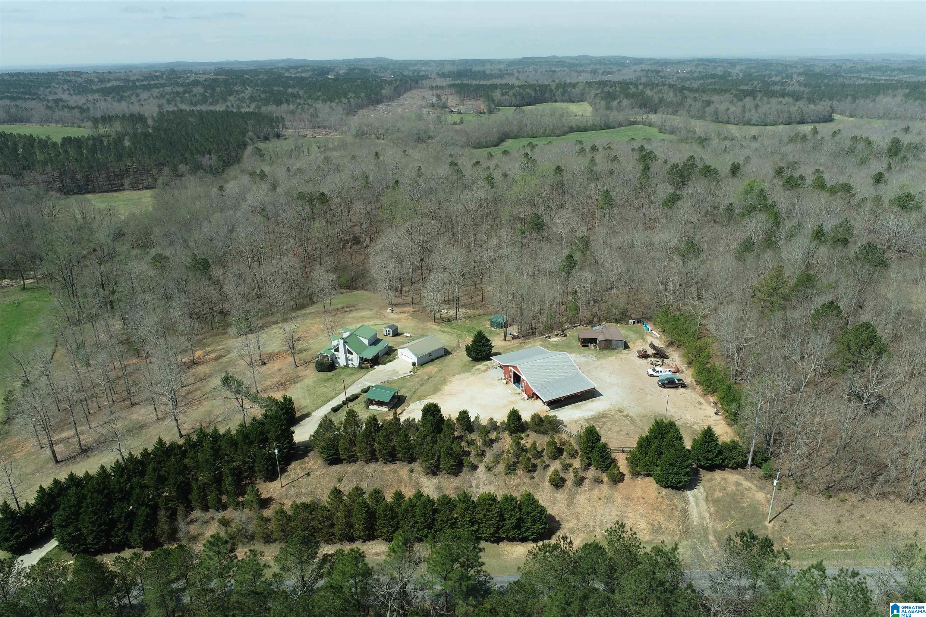 2495 County Road 46 Wedowee, AL 36278 - Photo 2 of 50