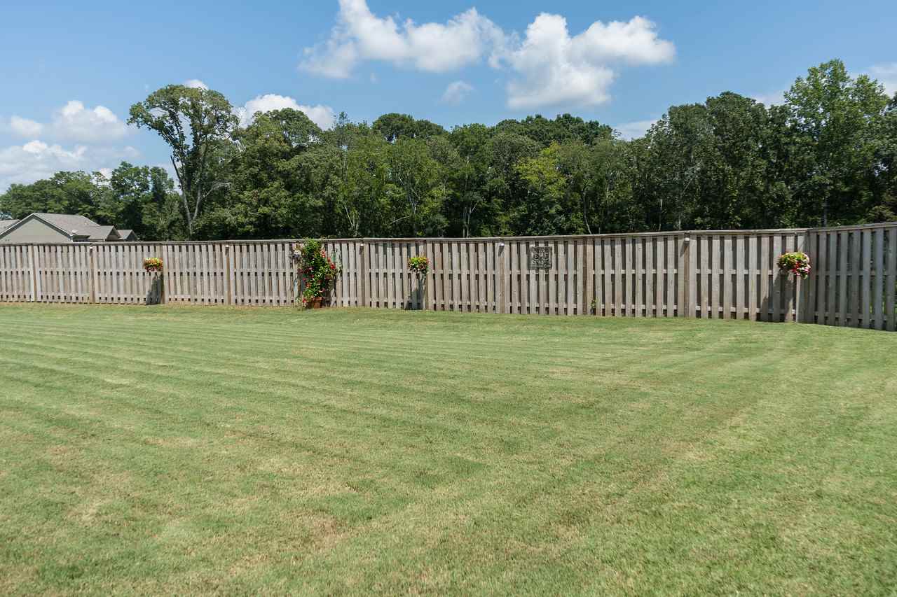 175 Santa Ana Way Duncan, SC 29334 - Photo 8 of 35 Gallery Image 8