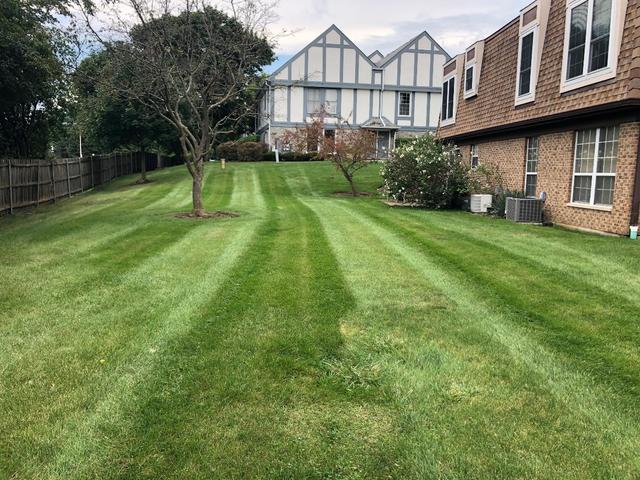132 West Golf Road Libertyville, IL 60048 - Photo 22 of 22