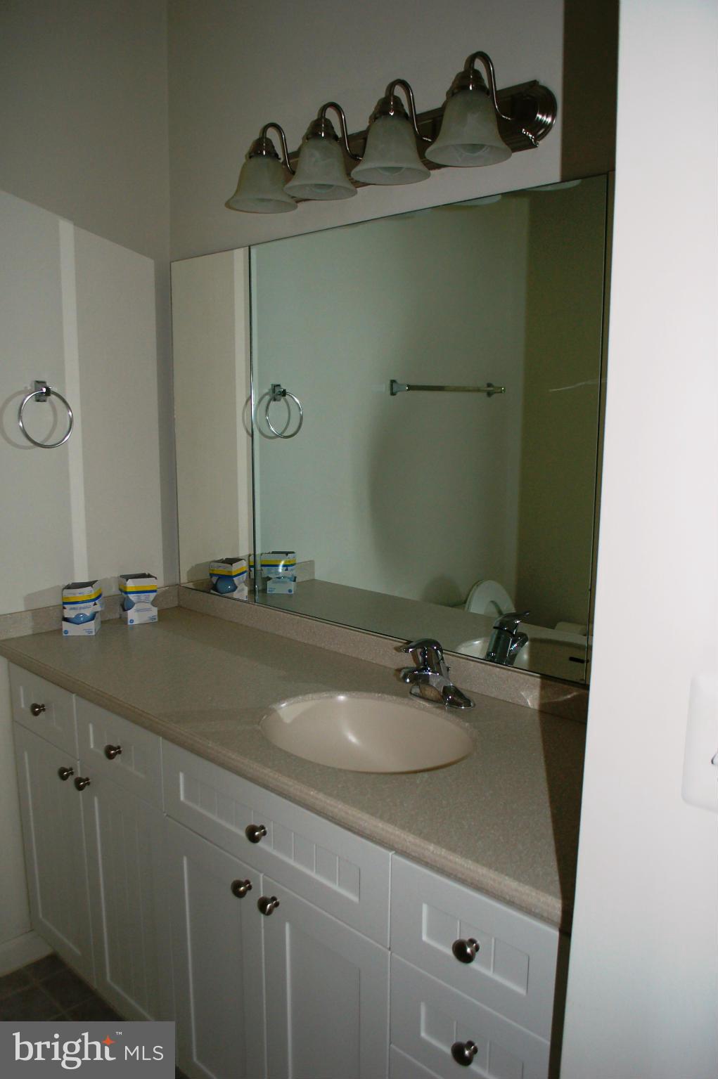 3101 North Hampton Drive, Unit 109 Alexandria, VA 22302 - Photo 10 of 10 a bathroom with a sink and a mirror