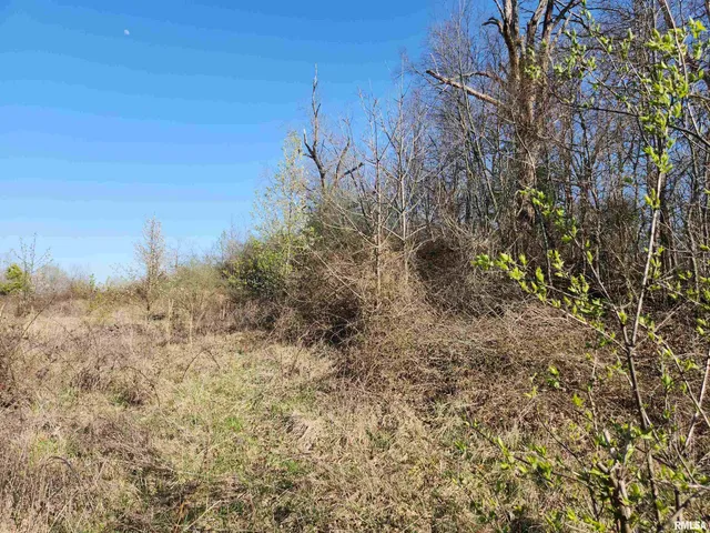 $70,000 | 1300 North Tolle Lane, Mount Vernon, IL 62864