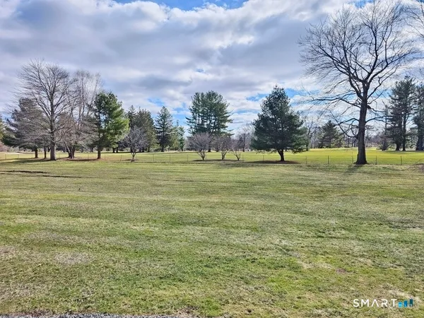 a view of a green field with trees in the background