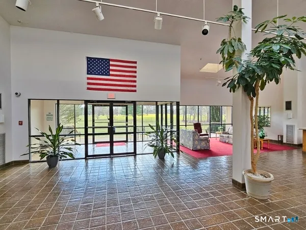 wooden floor with a potted plant in front of it