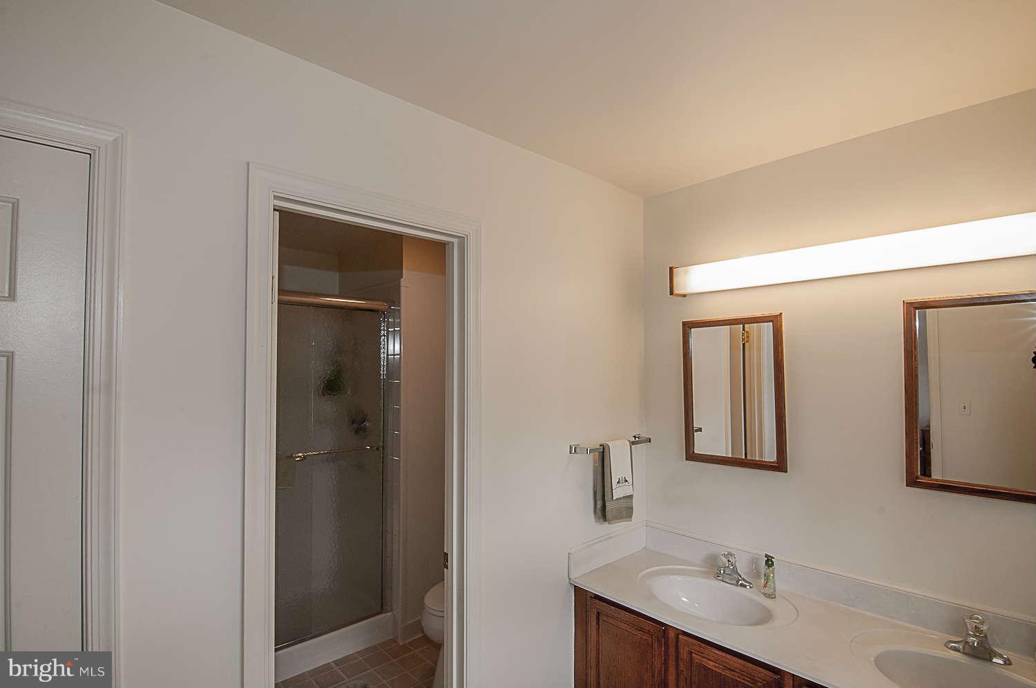 3676 Meadowvale Road Ellicott City, MD 21042 - Photo 20 of 22 Bath (Master)