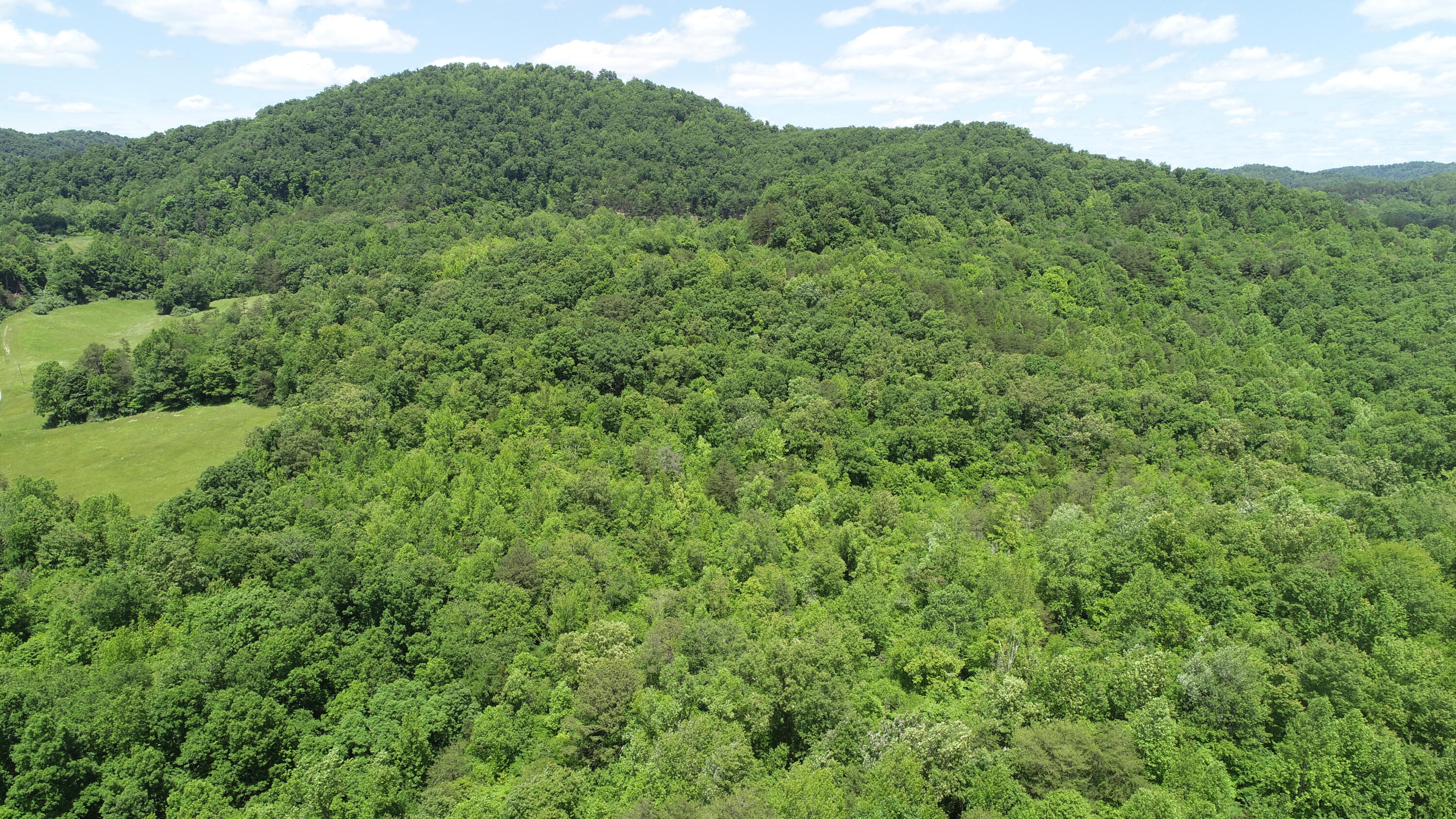 0 Sutton Mill Road Williamsburg, KY 40769 - Photo 12 of 23 DJI_0650