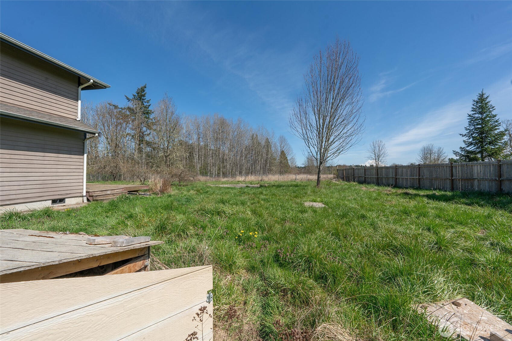 13216 Rocking S Lane Southeast Yelm, WA 98597 - Photo 23 of 25