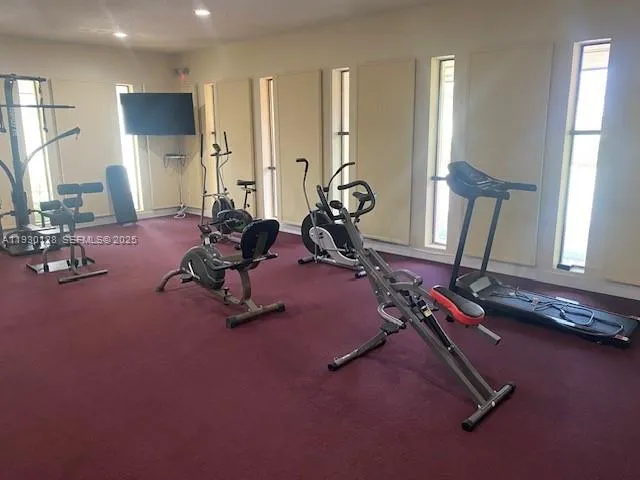 a view of a yard with palm trees