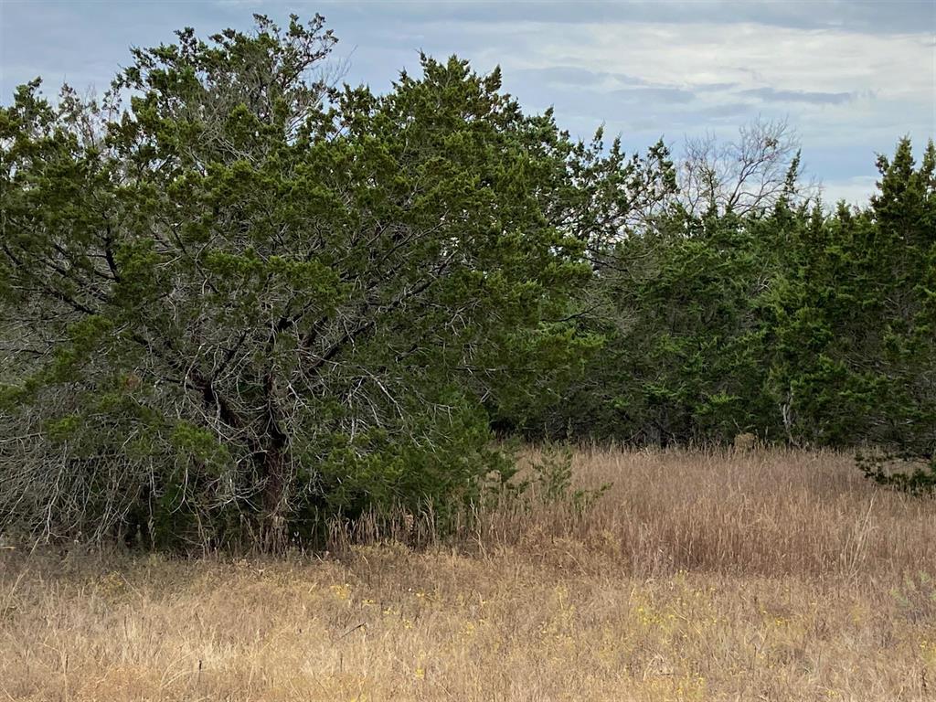 36064 Cedar Ridge Drive Whitney, TX 76692 - Photo 1 of 19 Front of lot with 1.28 acres.