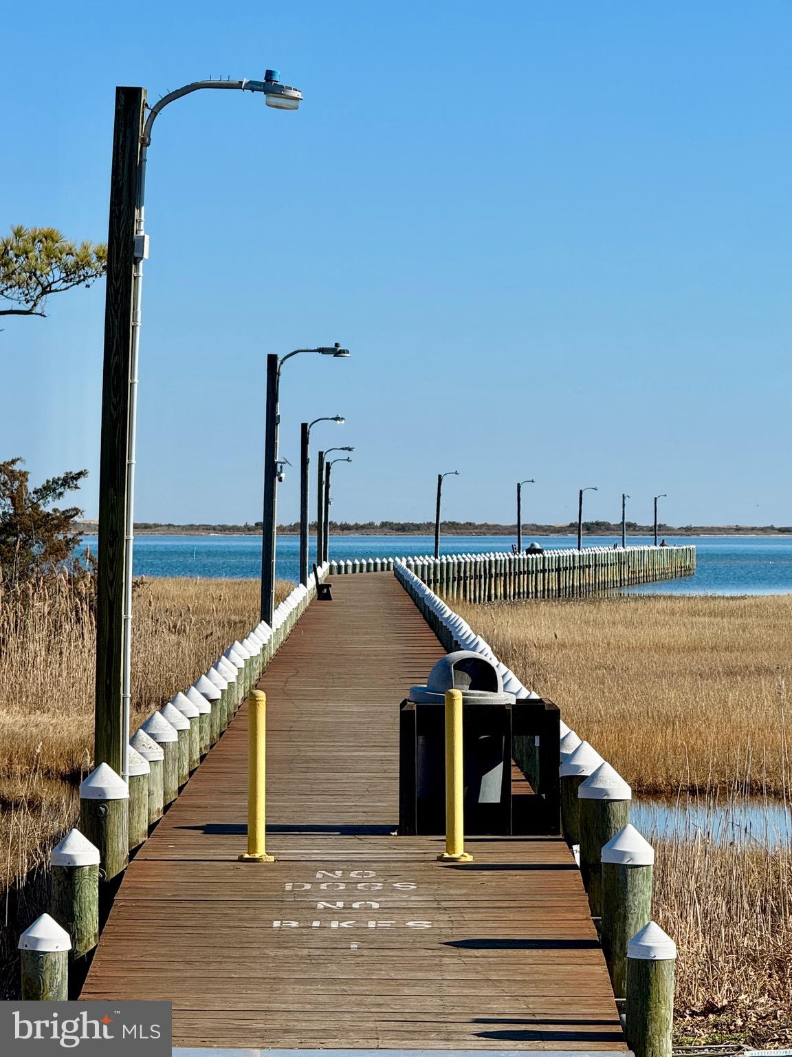 8801 Bay Ridge Drive Berlin, MD 21811 - Photo 25 of 51 1000 foot Fishing and Crabbing Pier on the Bay