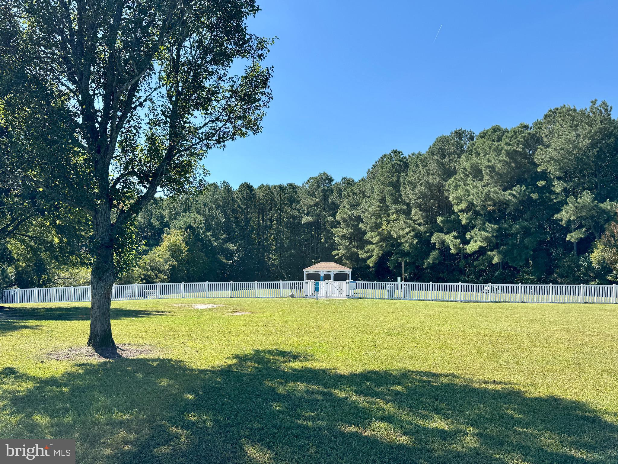8801 Bay Ridge Drive Berlin, MD 21811 - Photo 47 of 51 Community Dog Park
