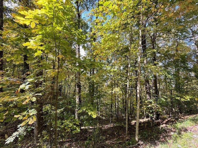Lot 73 Hidden Treasure Murphy, NC 28906 - Photo 24 of 26