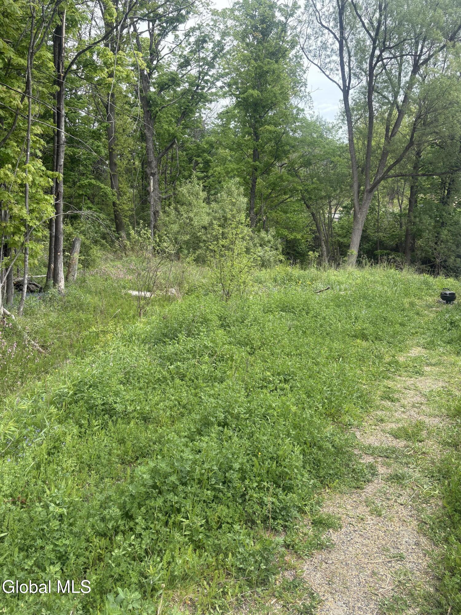 1 Mariaville Road Pattersonville, NY 12137 - Photo 21 of 25 IMG_3954