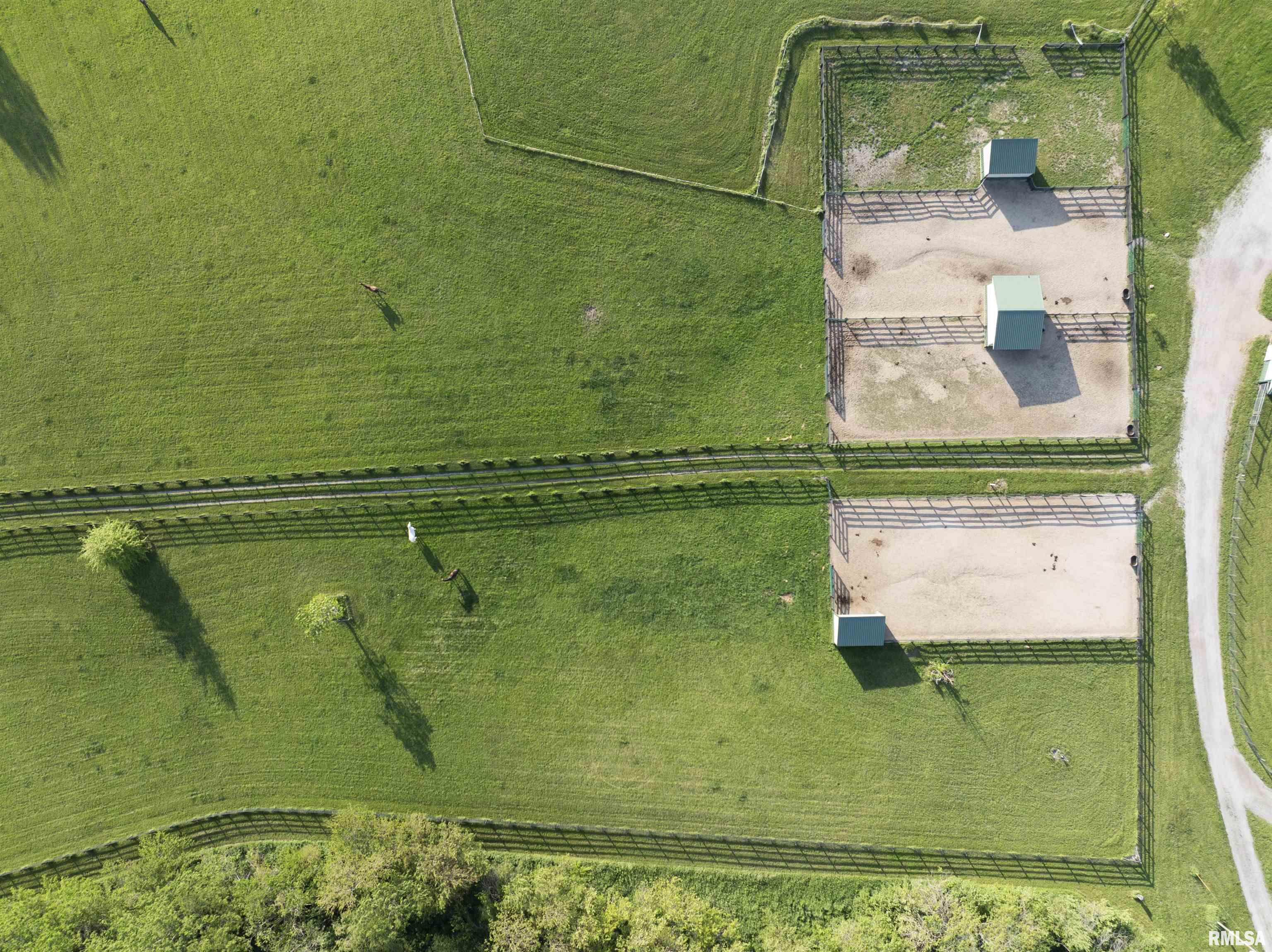 15920 Apricot Road Wapella, IL 61777 - Photo 49 of 66