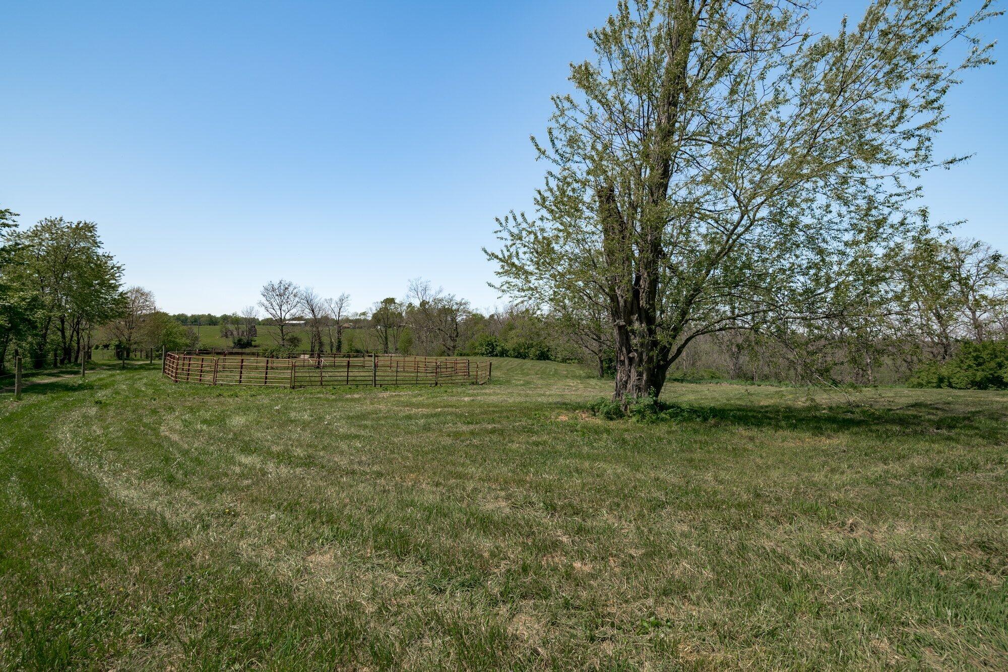 276 Cane Run Road Georgetown, KY 40324 - Photo 52 of 53 052-276_cane_run_rd_4_26_21-highrez.jpg-