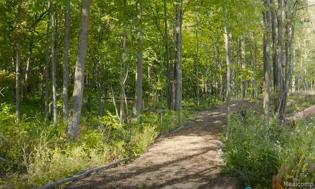 2429 Walnut View Drive Howell, MI 48855 - Photo 30 of 30