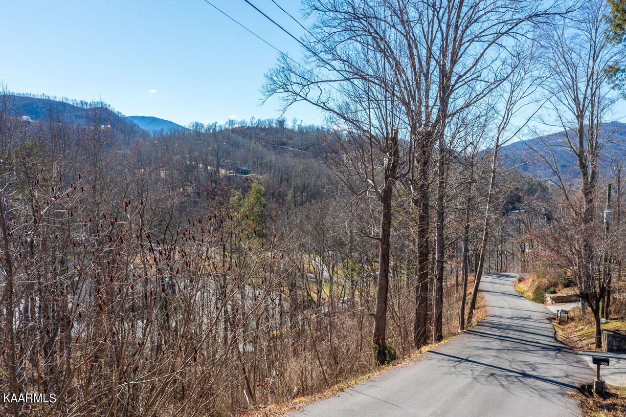 DJI_0544-HDR
