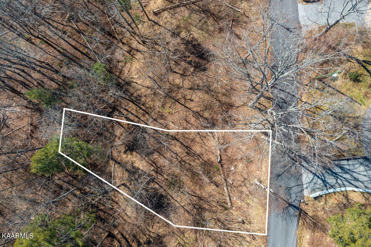 DJI_0624-HDR lines