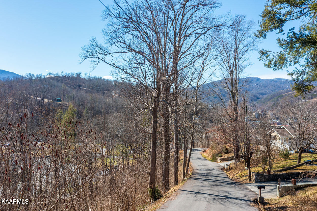 DJI_0549-HDR