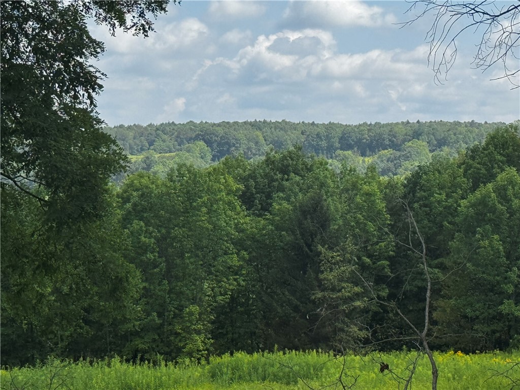 Ramey Road New Berlin, NY 13411 - Photo 2 of 6