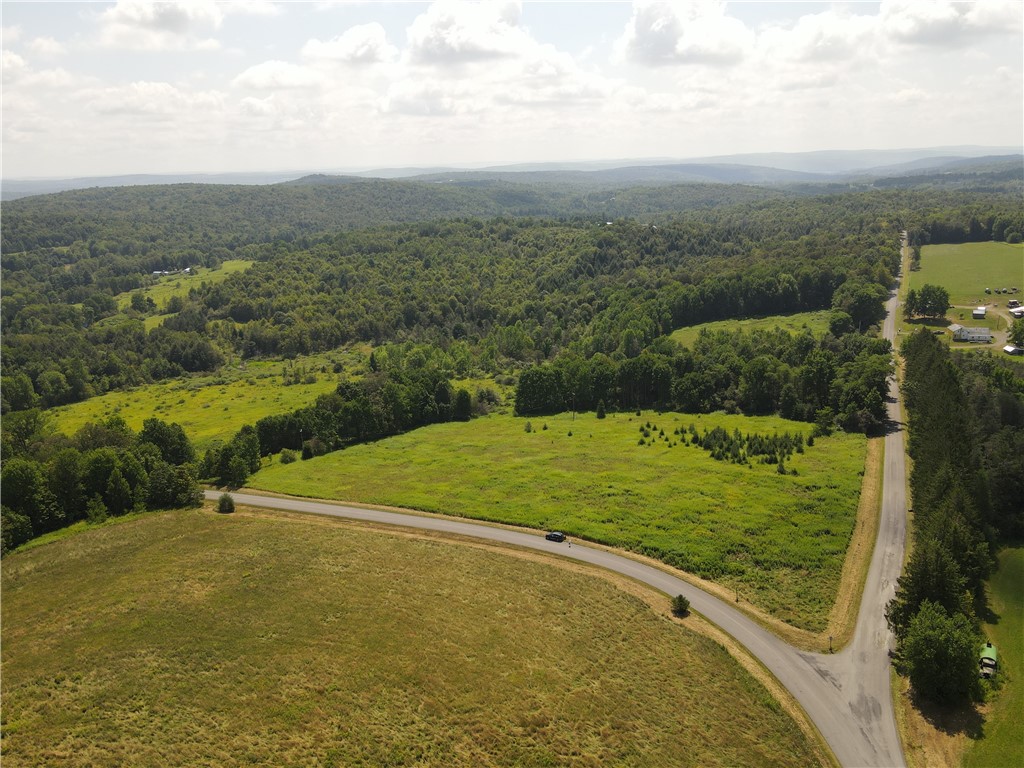 Ramey Road New Berlin, NY 13411 - Photo 4 of 6