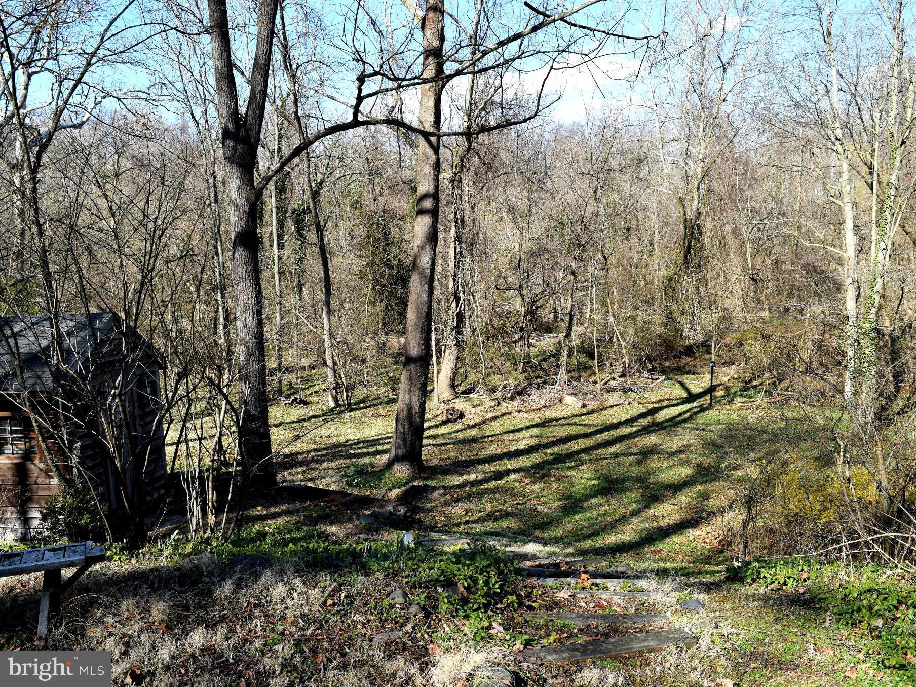 2539 Pickwick Road Baltimore, MD 21207 - Photo 3 of 30 a view of a yard with trees