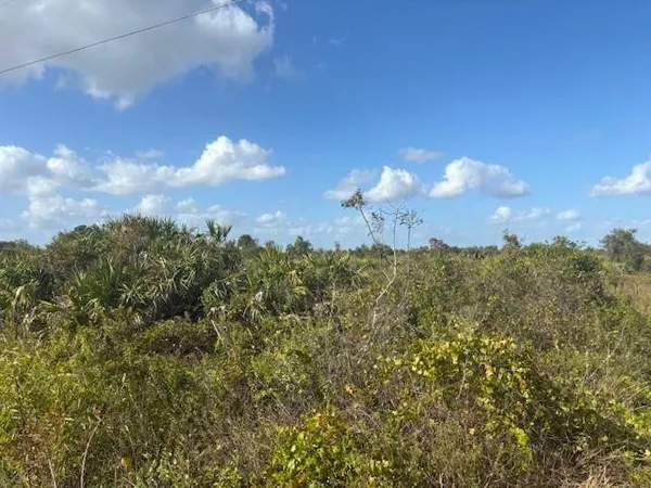 $44,000 | 15463 Northwest 256th Street, Okeechobee, FL 34972