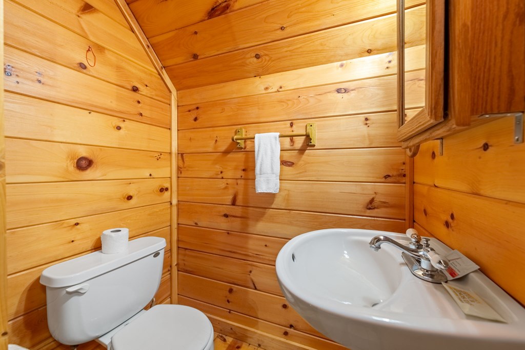 293 Broken Arrow Path Blue Ridge, GA 30513 - Photo 23 of 48 a bathroom with a sink toilet and shower