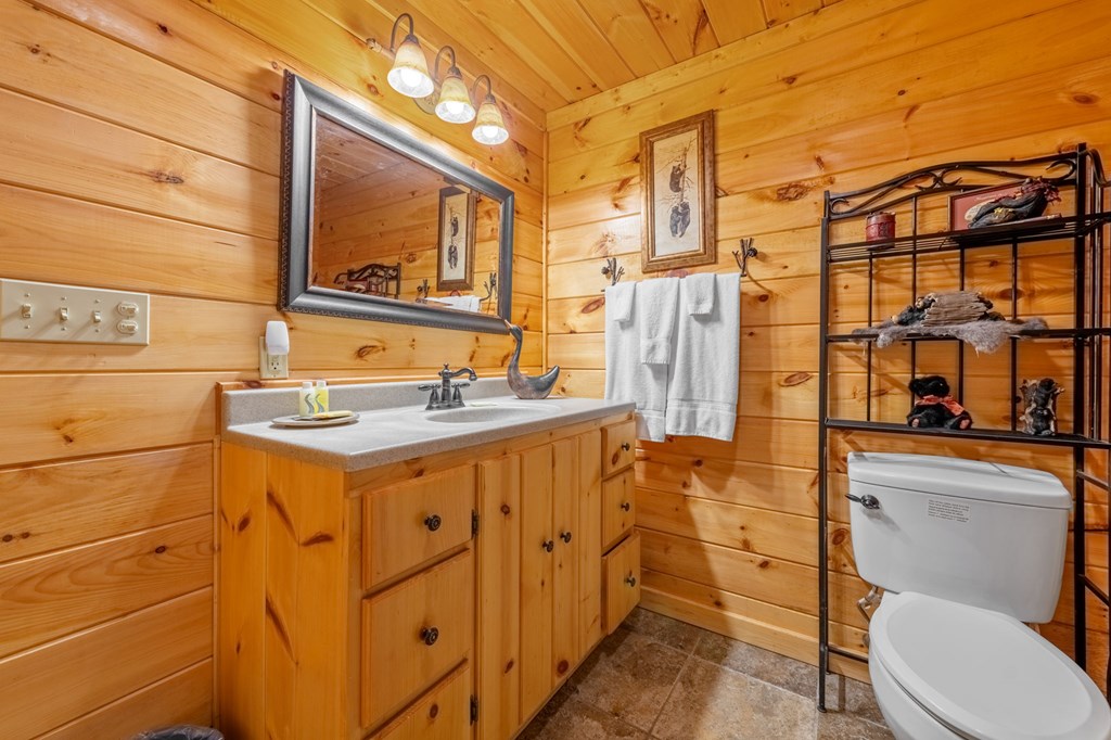 293 Broken Arrow Path Blue Ridge, GA 30513 - Photo 38 of 48 a bathroom with a sink mirror vanity and toilet