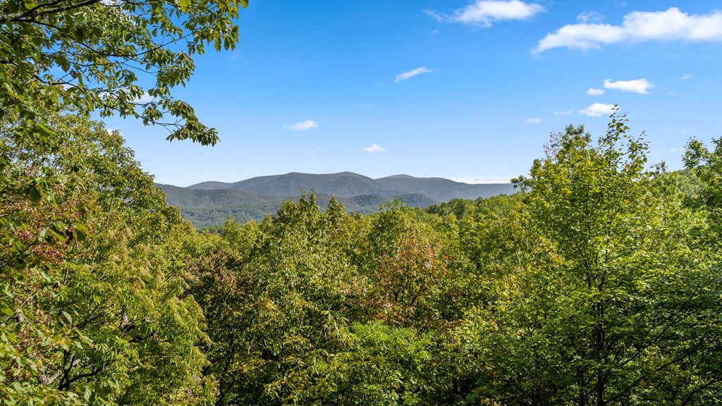 293 Broken Arrow Path Blue Ridge, GA 30513 - Photo 4 of 48 a view of a city