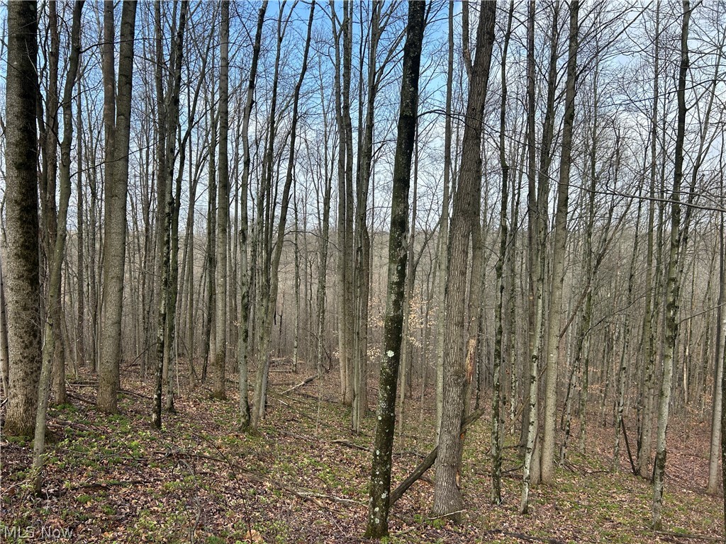 Wilbur Bush Road Crooksville, OH 43731 - Photo 18 of 19