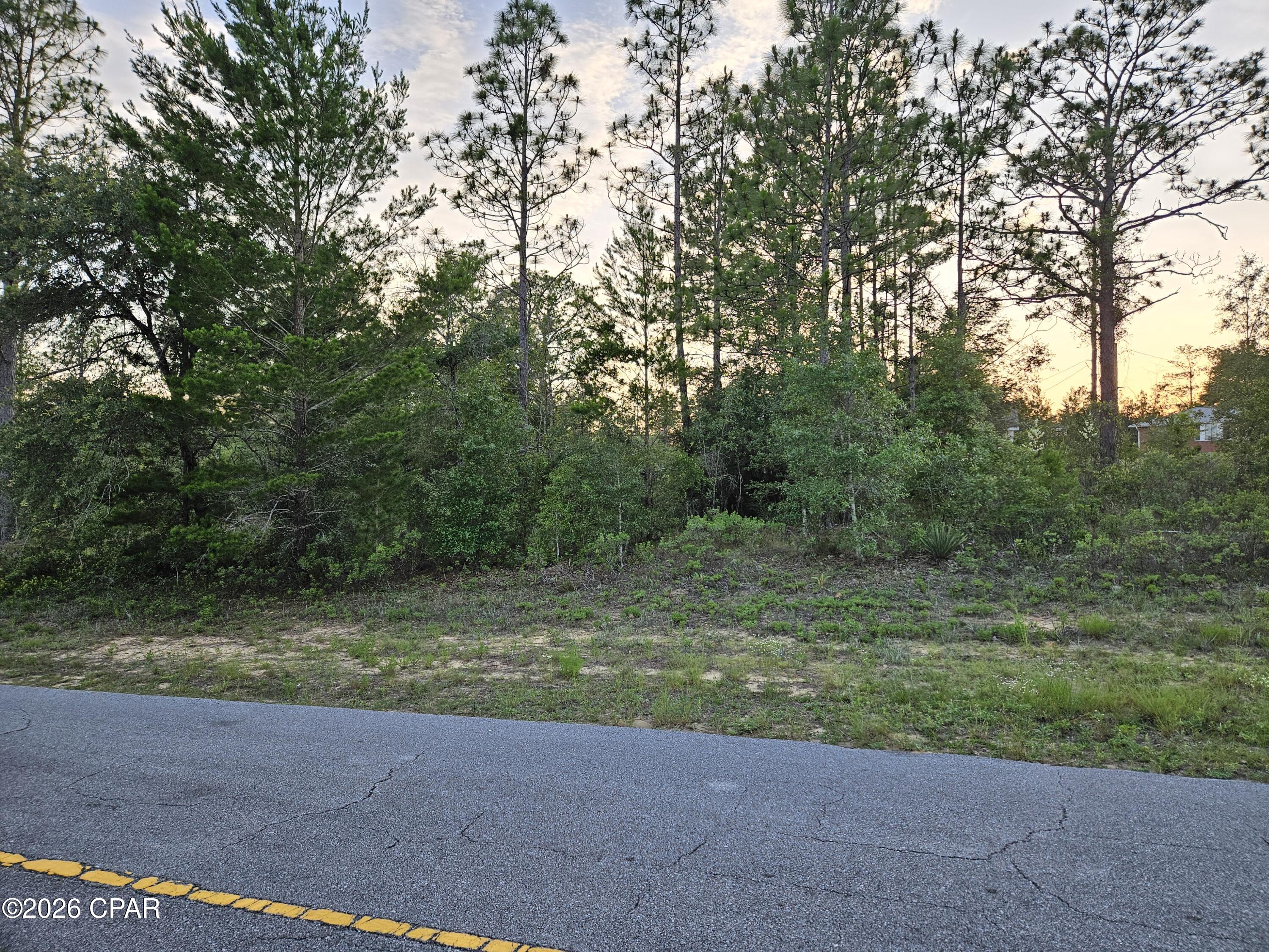 Lot 11 Covington Place, Unit 1 Chipley, FL 32428 - Photo 3 of 5