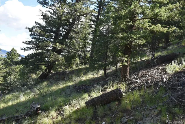 a view of a lake with a tree