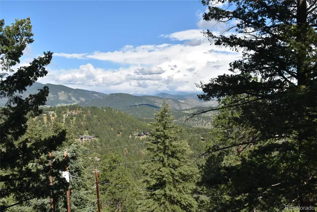 a view of a bunch of trees