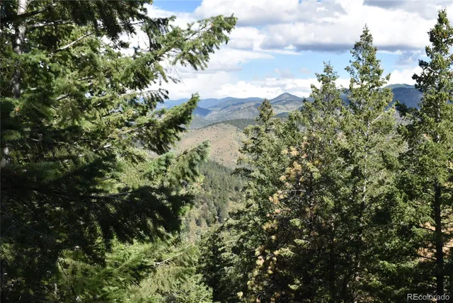 a view of a bunch of trees