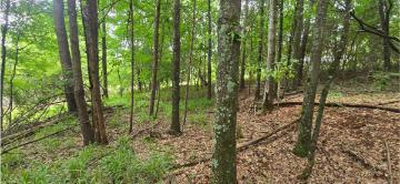 0 Valley Road Southwest, Unit 41 Cave Spring, GA 30124 - Photo 34 of 35 20260618_124318