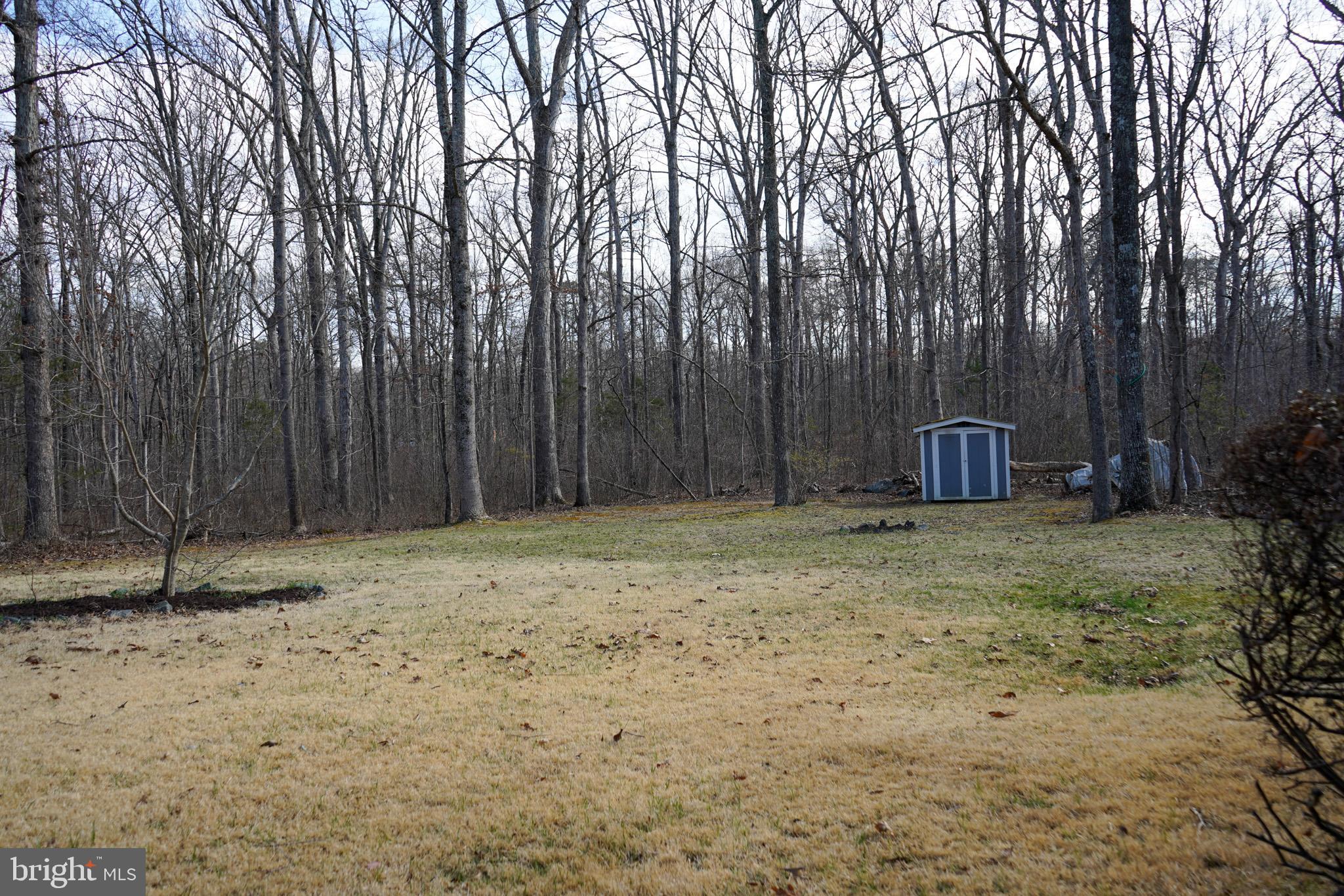 7323 O'Keefe Road Bealeton, VA 22712 - Photo 48 of 48 Serene woodland retreat with a storage shed.