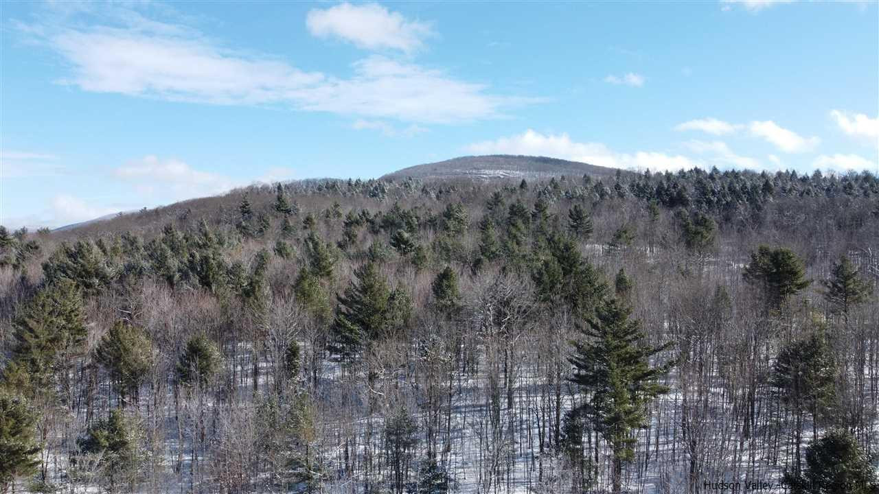 2159 Highway 296 Hunter, NY 12442 - Photo 15 of 35 Photo 15