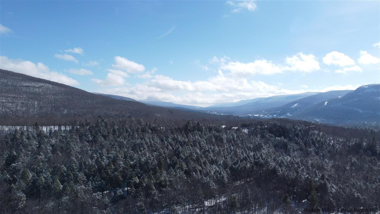 2159 Highway 296 Hunter, NY 12442 - Photo 18 of 35 Photo 18