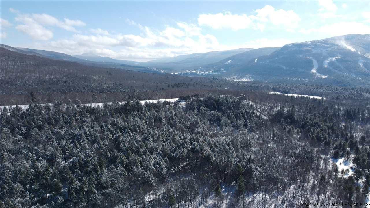 2159 Highway 296 Hunter, NY 12442 - Photo 24 of 35 Photo 24