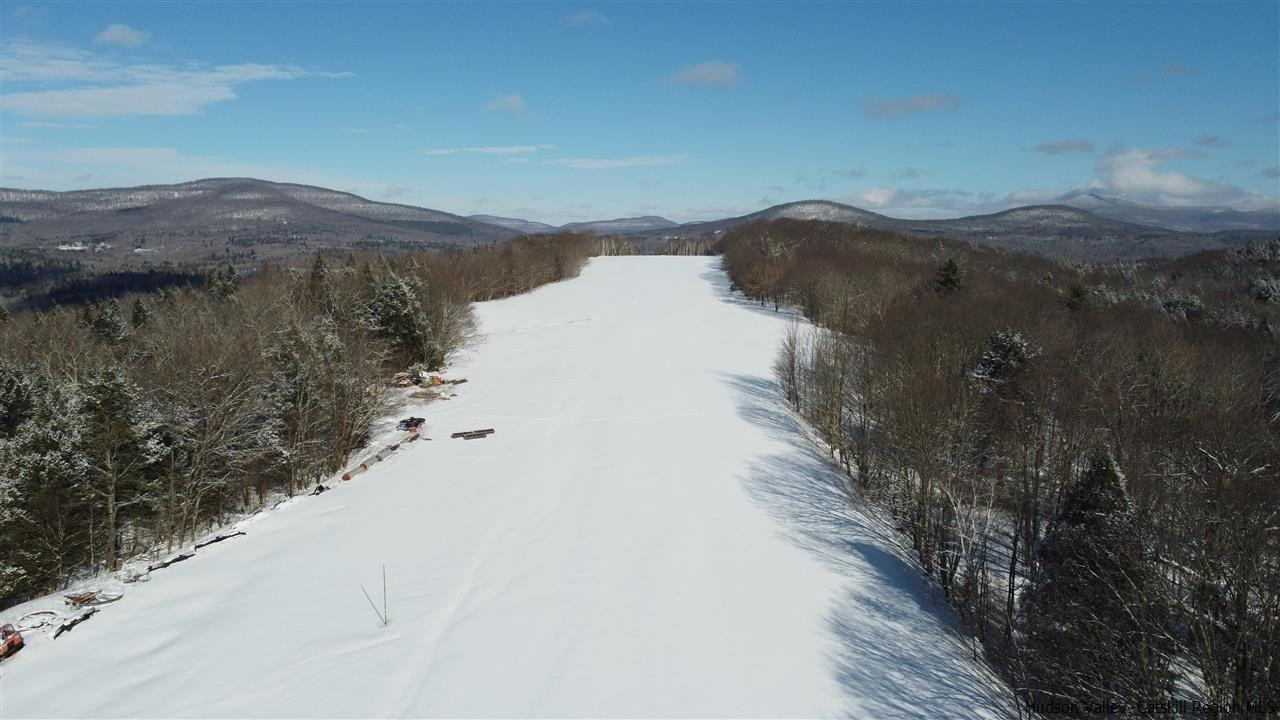 2159 Highway 296 Hunter, NY 12442 - Photo 7 of 35 Photo 7