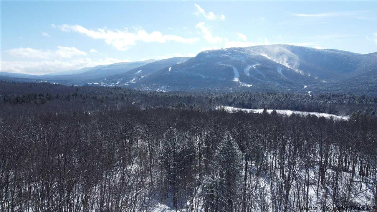 2159 Highway 296 Hunter, NY 12442 - Photo 9 of 35 Photo 9