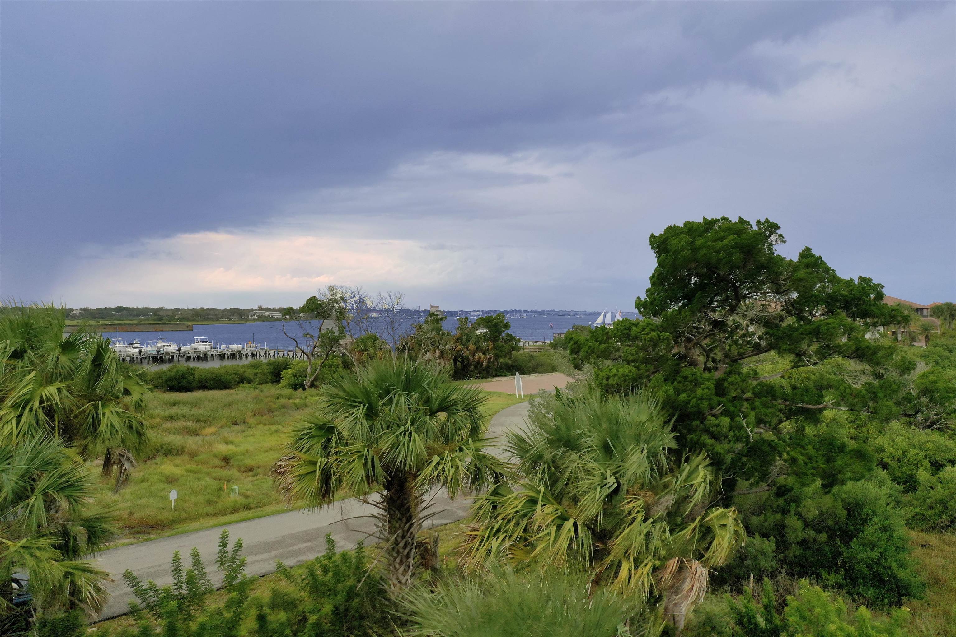 Lot 1 Pelican Reef Drive St. Augustine, FL 32080 - Photo 6 of 21 a view of a garden