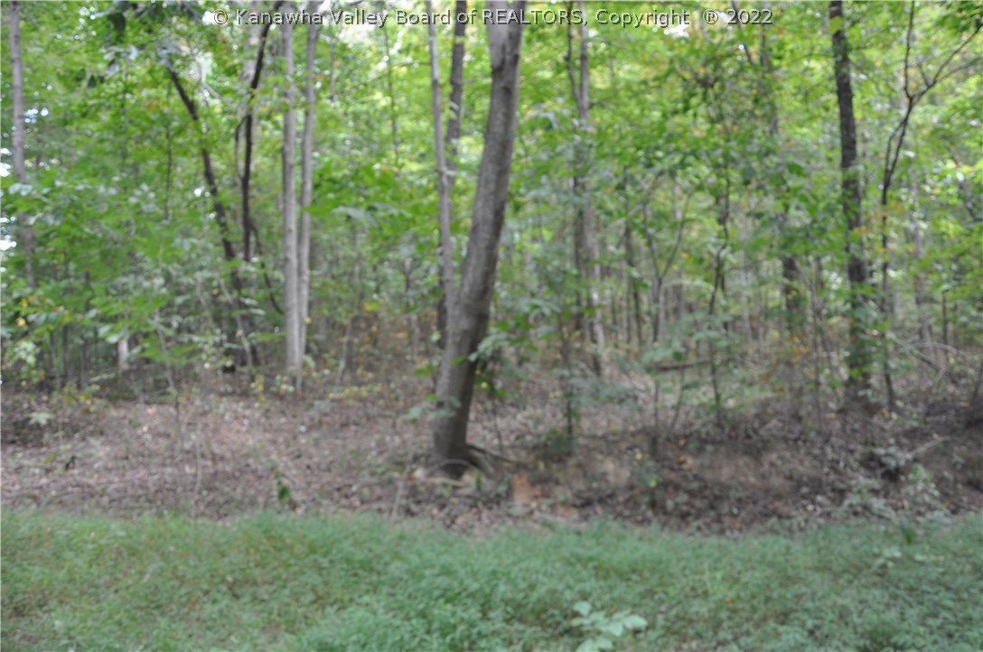 0 Fuquays Creek Road Sod, WV 25564 - Photo 12 of 21 Gallery Image 12